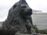 trafalgar-square-lion